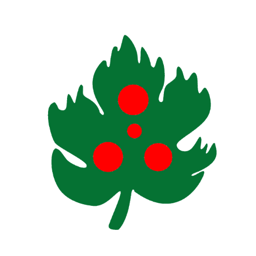 Nizzano Green Festival