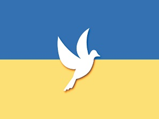 BANDIERA ucraina