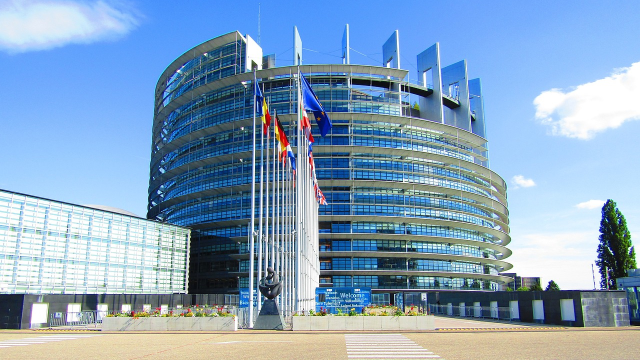 Elezioni del Parlamento Europeo 2024