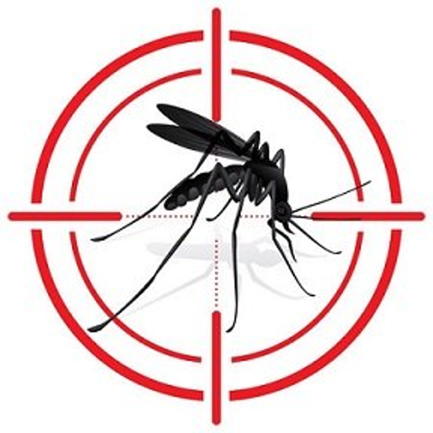 Lotta alle zanzare: ordinanza del Comune